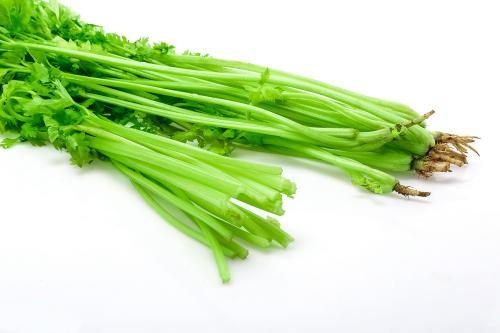 附近大型膳食公司