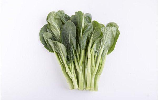 食材专业配送