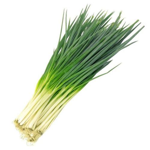 解锁你的“菜篮子”幸福，新鲜蔬菜直达你家门口！