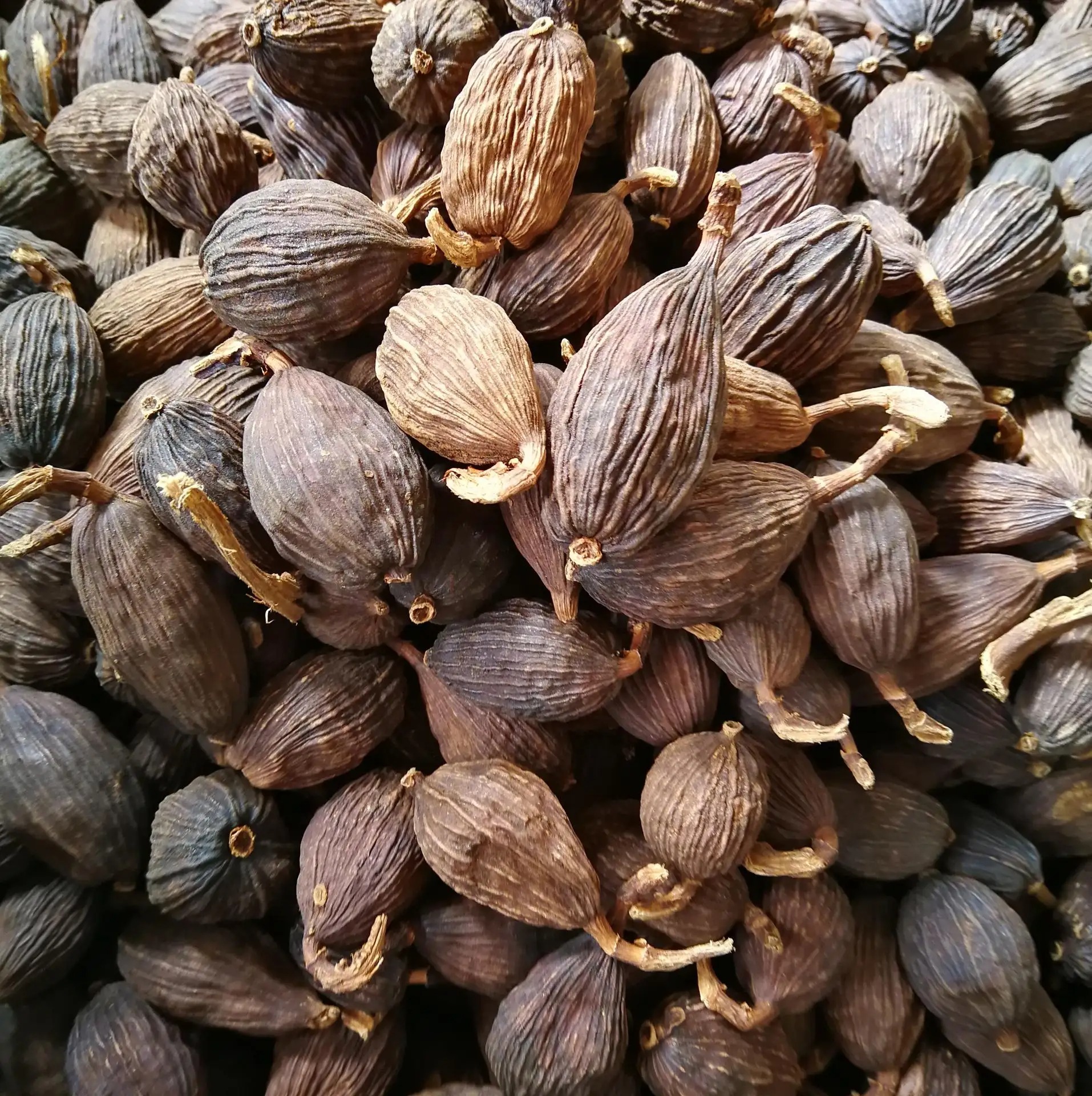 草果