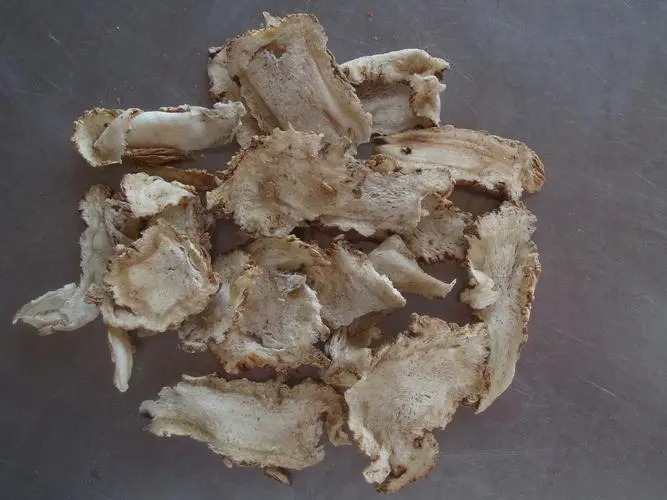 网络资源与食品配送哪家好