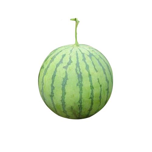 附近蔬菜配送公司