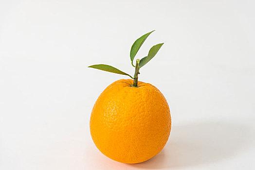 广州蔬菜配送公司——新鲜蔬菜直达您家！